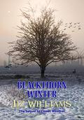Blackthorn Winter by Liz Williams