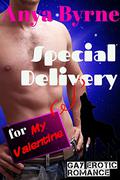 Special Delivery for My Valentine (Holiday Specials #2) by Anya Byrne