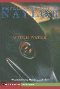 Witch Water (Witch Saga #2) by Ken McMillan