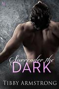 Surrender the Dark (Boston After Dark #1) by Tibby Armstrong