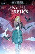 Angel + Spike #14 (Angel + Spike #14) by Christopher Mitten