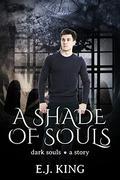 Shades of Evil (Dark Souls #0.5) by E.J. King