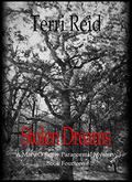 Stolen Dreams by Terri Reid