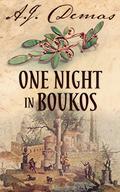 One Night in Boukos by A.J. Demas