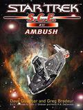 Ambush (Star Trek SCE ebooks Novellas #11) by Greg Brodeur