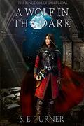 A Wolf in the Dark (Kingdom of Durundal #2) by S.E. Turner