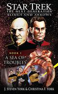 Star Trek The Next Generation: Slings and Arrows, Book 1: A Sea of Troubles (Star Trek: Slings and Arrows #1) by J. Steven York