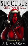 Succubus Christmas Special by A.J. Markam