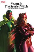 Vision & The Scarlet Witch: The Saga of Wanda and Vision (Vision and the Scarlet Witch 1982 #1-4) by Steve Englehart