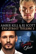 End Street Volume 3 (End Street Detective Agency #5-6) by Amber Kell