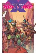Teenage Mutant Ninja Turtles: Dimension X (Teenage Mutant Ninja Turtles IDW Publishing #18.1) by Erick Freitas