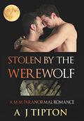 Stolen by the Werewolf (Werewolves of Singer Valley #1) by A.J. Tipton