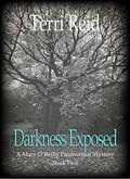 Darkness Exposed by Terri Reid