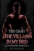 The Villain In My Bed by D.S. Wrights