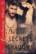 Secrets In Shadows (Shadow Creek #1) by Leah Blake