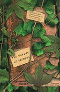 The Valley of Secrets by Charmian Hussey