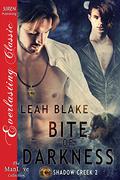 Bite of Darkness (Shadow Creek #2) by Leah Blake