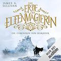Das Erbe der Elfenmagierin by James A. Sullivan