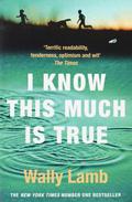 I Know This Much Is True by Wally Lamb