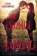 The Promise of Amazing by Robin Constantine