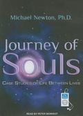 Journey of Souls: Case Studies of Life Between Lives by Michael Newton, Peter Berkrot