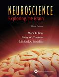 Neuroscience: Exploring the Brain by Mark F. Bear, Barry W. Connors