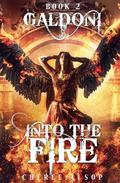 Into the Fire by Cheree Alsop