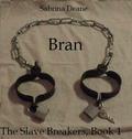 Bran's Story (The Slave Breakers #) by Sabrina Deane