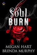 Soul Burn by Megan Hart