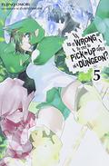 Is It Wrong to Try to Pick Up Girls in a Dungeon? Light Novels, Vol. 5 by Fujino Omori