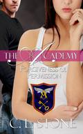 Forgiveness and Permission by C.L. Stone