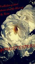 Yorkist Stories: A collection of short stories about the Wars of the Roses by J.P. Reedman