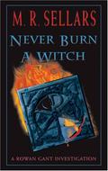 Never Burn a Witch by M.R. Sellars