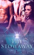 The Stowaway (Journey Of The Wyvern #1) by Jade Archer