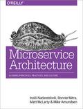 Microservice Architecture: Aligning Principles, Practices, and Culture by Mike Amundsen