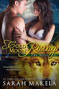 Cold Moon Rising by Sarah Mäkelä
