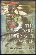 The Dark Bright Water (Book of Wirrun #2) by Patricia Wrightson
