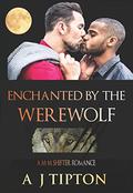 Enchanted by the Werewolf (Werewolves of Singer Valley #2) by A.J. Tipton
