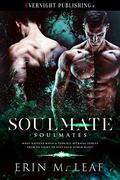 Soulmate (Soulmates #1) by Erin M. Leaf