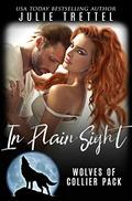 In Plain Sight by Julie Trettel