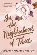 In the Neighborhood of True by Rachel Botchan