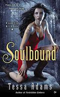 Soulbound (Lone Star Witch #1) by Tessa Adams