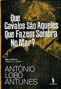 Que Cavalos São Aqueles Que Fazem Sombra no Mar? by António Lobo Antunes
