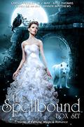 The Spellbound Box Set by Mande Matthews