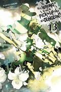 Is It Wrong to Try to Pick Up Girls in a Dungeon? Light Novels, Vol. 13 (ダンジョンに出会いを求めるのは間違っているだろうか / Is It Wrong to Try to Pick Up Girls in a Dungeon? Light Novels #13) by 大森 藤ノ