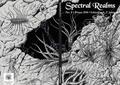 Spectral Realms No. 8 (Spectral Realms #8) by S.T. Joshi