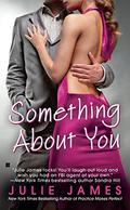 Something About You (FBI/US Attorney #1) by Julie James