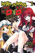High School DxD, Vol. 1  (light novel)  (High School DxD by Ichiei Ishibumi
