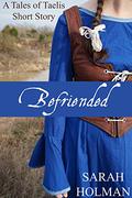Befriended (Tales of Taelis Short Stories #2) by Sarah Holman