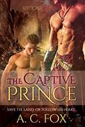 The Captive Prince (The Warriors of Love & Magic #2) by A.C. Fox